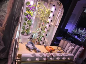 DIY Pflanzturm aus PVC-U Rohr im Garten mit Gemüse und Kräutern bepflanzt. pflanzturm kaufen