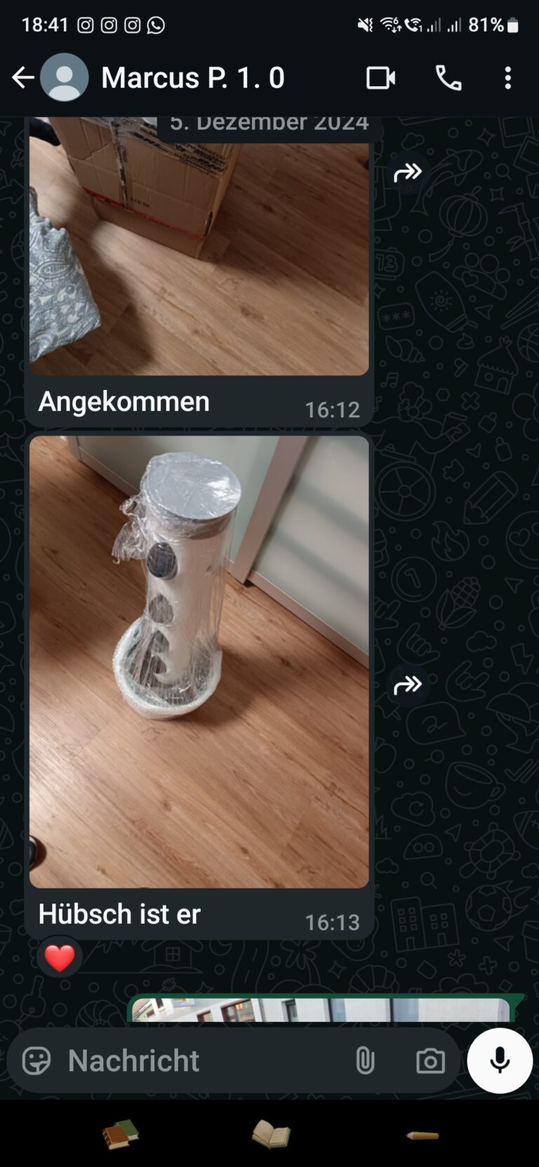 Screenshot_20241212_184125_WhatsAppBusiness