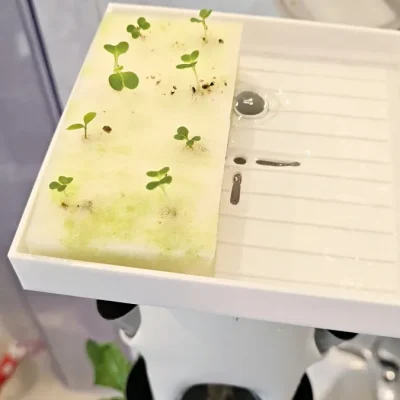 VideoCapture_20240917-113153